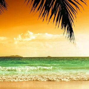 Meet your Posher, Jorge